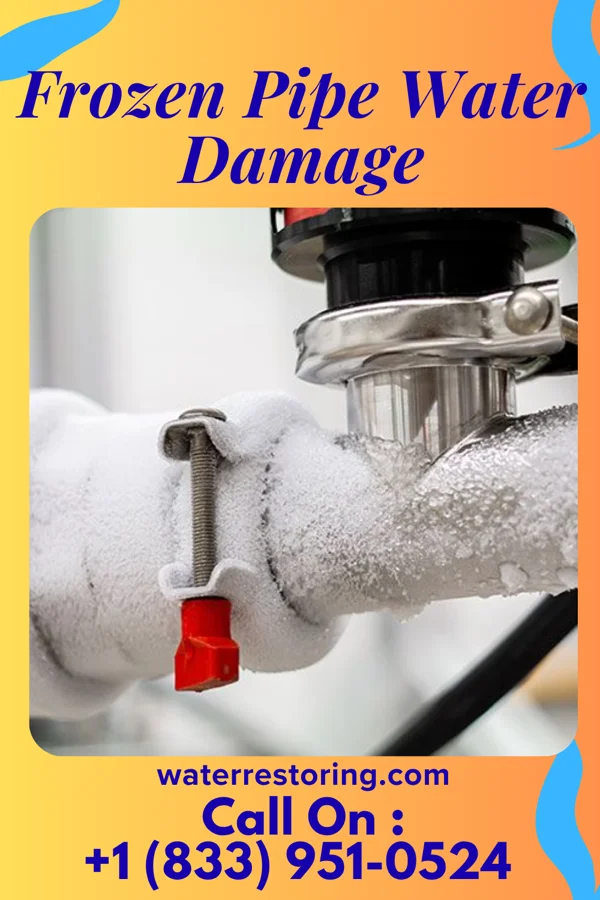 Frozen Pipe Water Damage in Alto Bonito Heights, TX